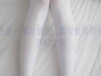 少女秩序 - 黑丝魅影：鹿可全集带你走进梦幻之中
