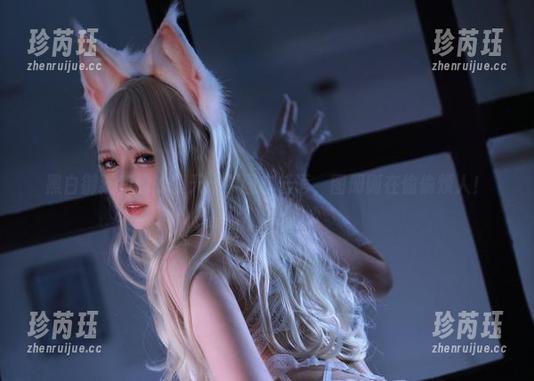 黑白御猫和她的夏天：原图在低语，图册则在偷偷烦人！